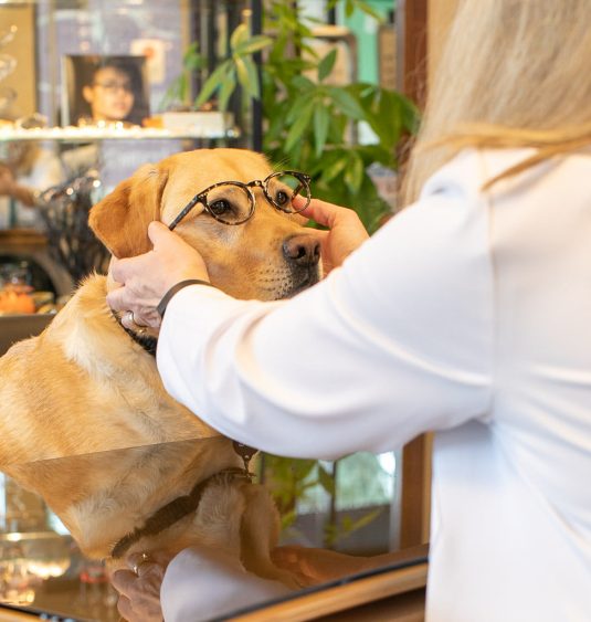 Dotty and Daisy at Northwest Optical